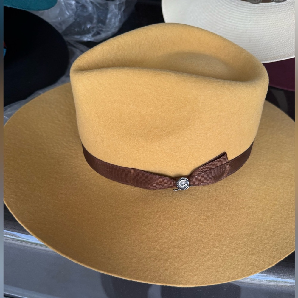 Charlie 1 Horse Hat.